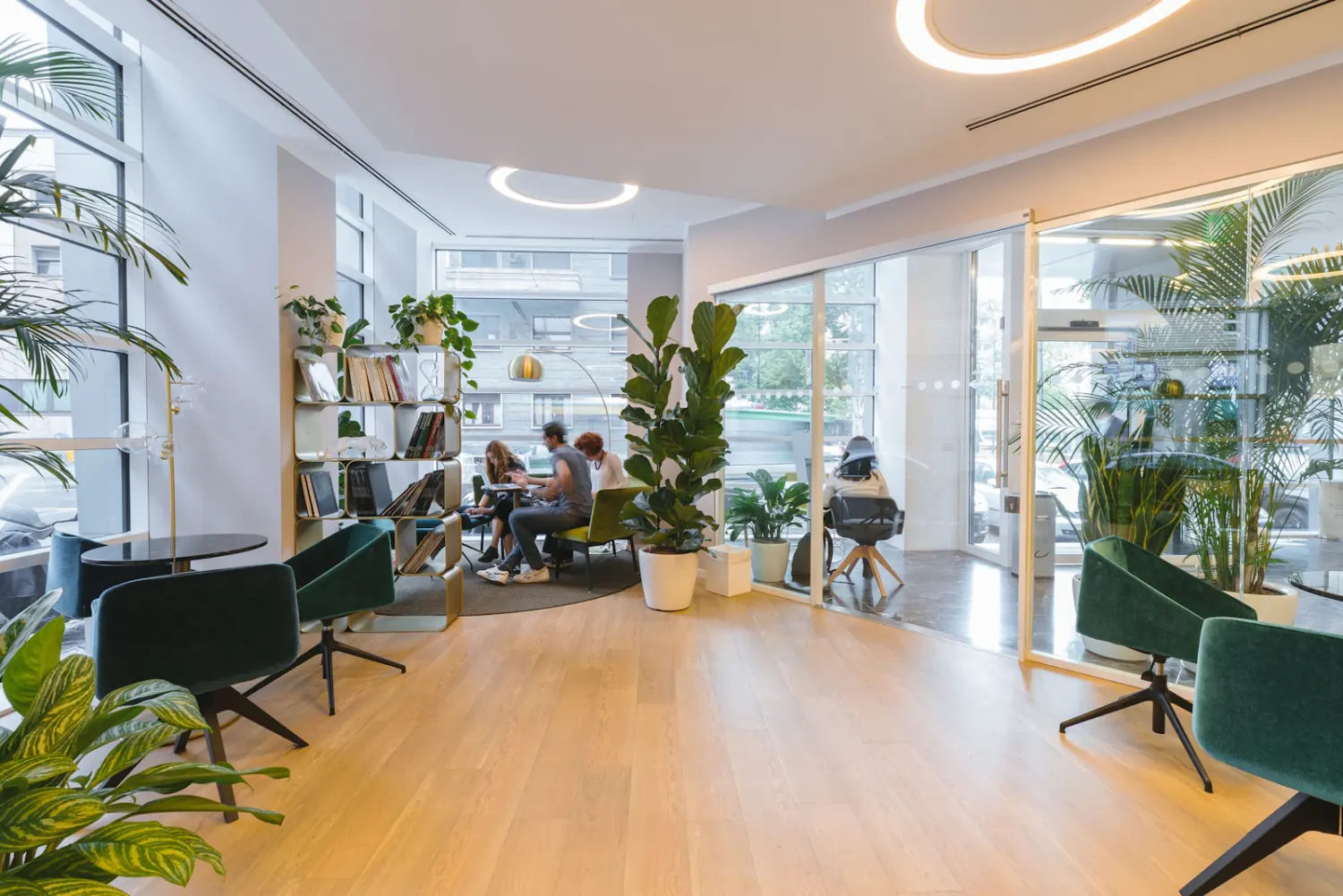 Clean, daylight-filled modern office space